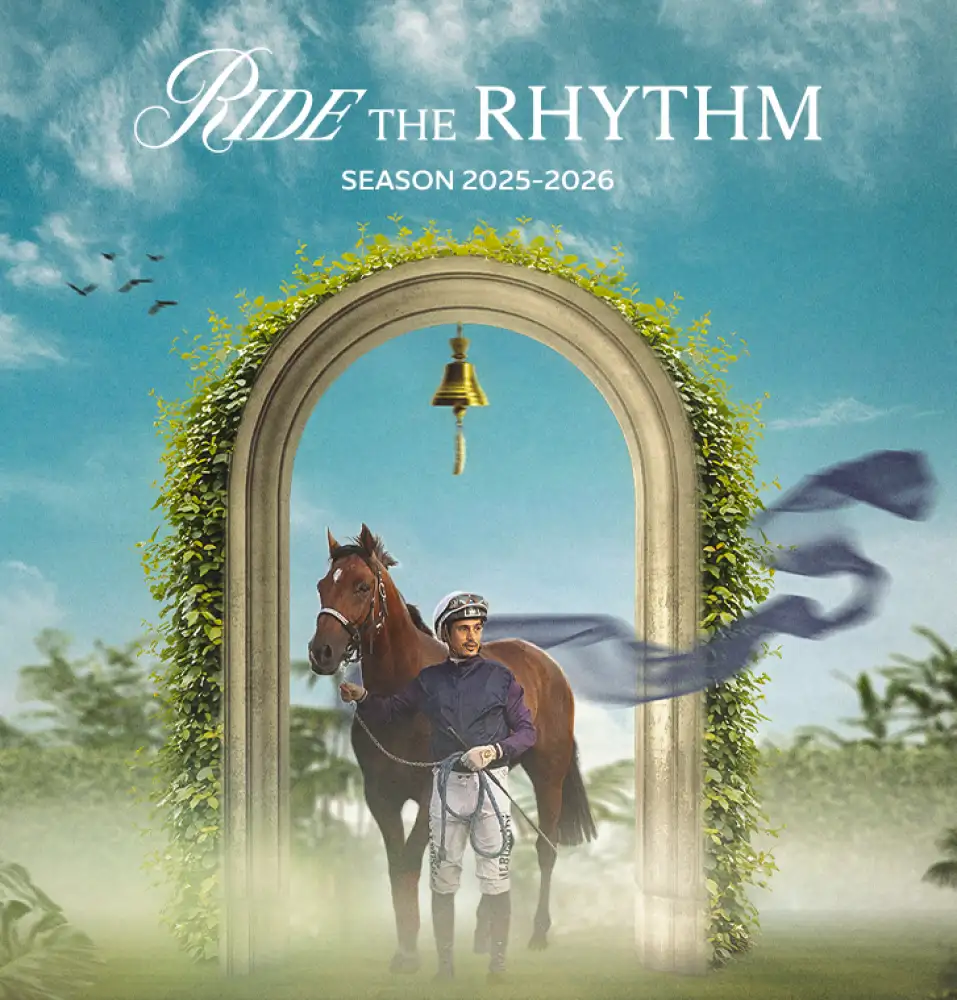 Homepage The Arcades Whats On Carousel 1 727x760px